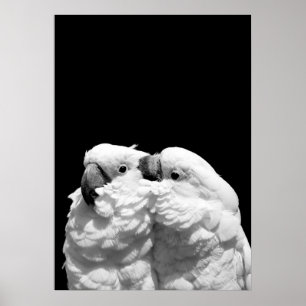 Paar van paraplu-cockatoes poster