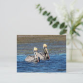 Paar van Pelicans Briefkaart (Staand voorkant)