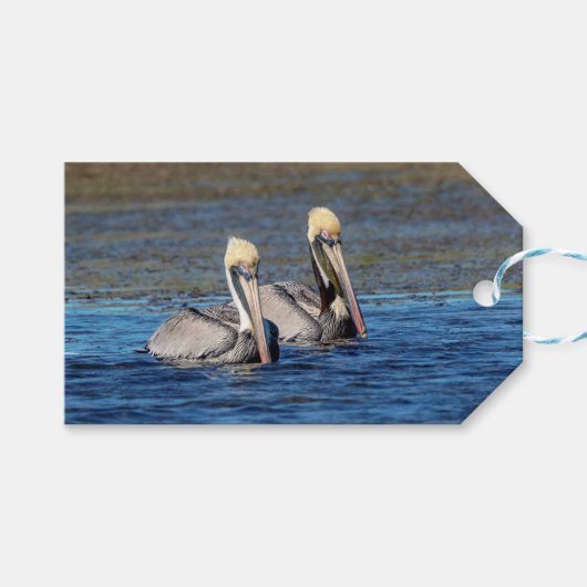 Paar van Pelicans Cadeaulabel (Voorkant (Horizontaal))