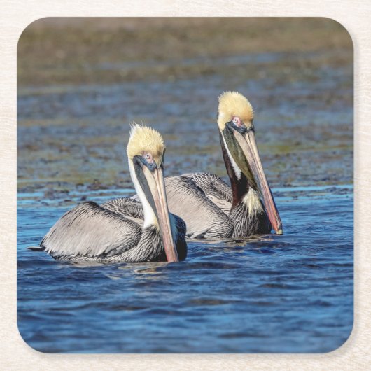 Paar van Pelicans Kartonnen Onderzetters (Voorkant)
