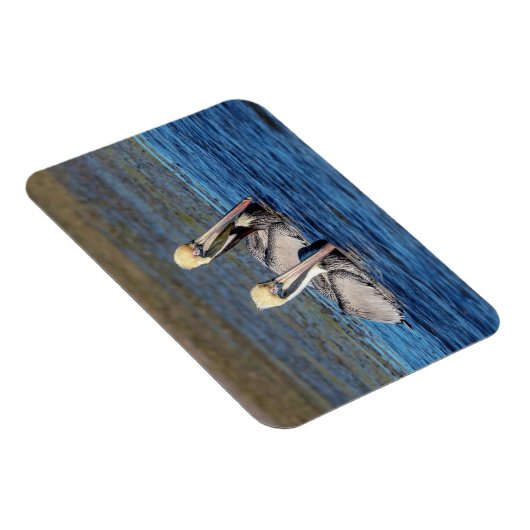 Paar van Pelicans Magneet (Rechterzijde)