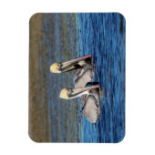 Paar van Pelicans Magneet (Verticaal)