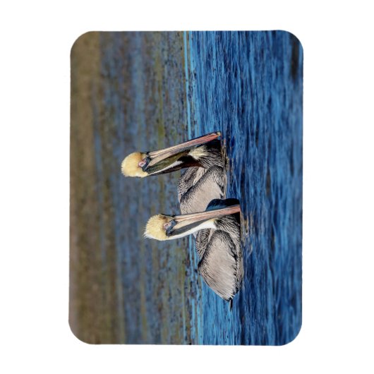 Paar van Pelicans Magneet (Verticaal)