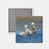 Paar van Pelicans Magneet (Voorkant / Achterkant)