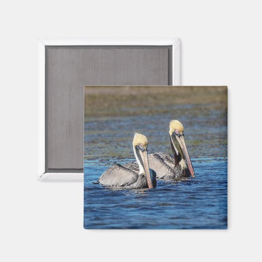 Paar van Pelicans Magneet (Voorkant / Achterkant)