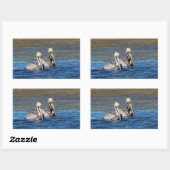 Paar van Pelicans Rechthoekige Sticker (Vel)