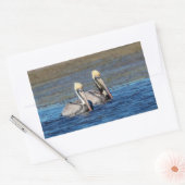 Paar van Pelicans Rechthoekige Sticker (Envelop)