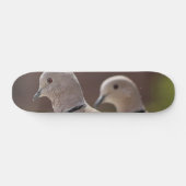 Paar van Pigeons Skateboard (Horizontaal)