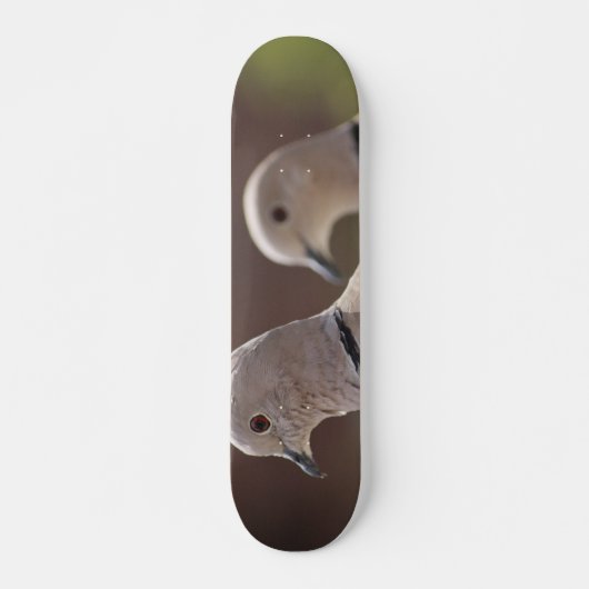 Paar van Pigeons Skateboard (Voorkant)