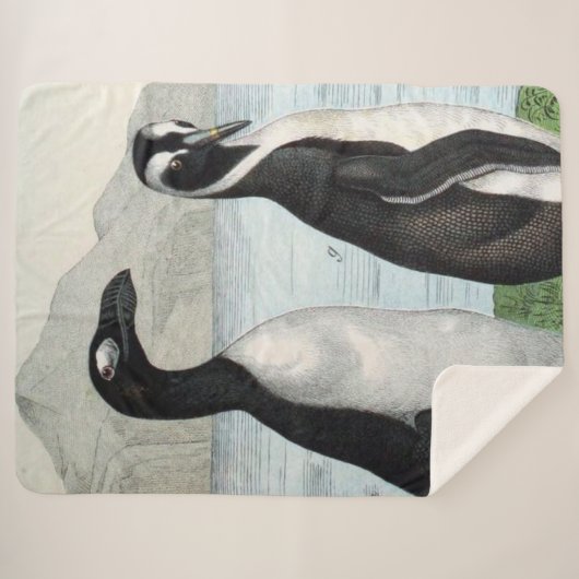 Paar van pinguïns - keukenhanddoek sherpa deken (Voorkant (horizontaal))