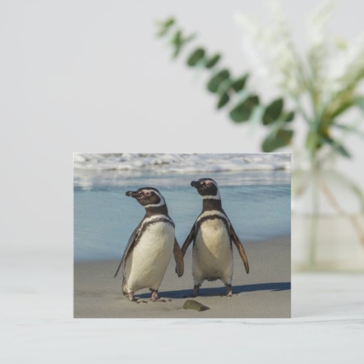 Paar van pinguïns op het strand briefkaart (Staand voorkant)