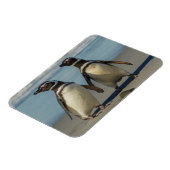Paar van pinguïns op het strand magneet (Linkerzijde)