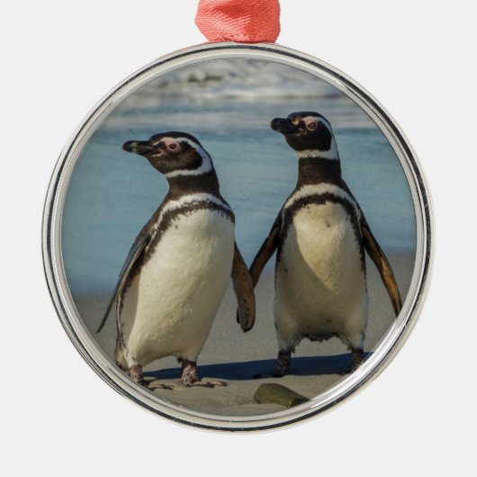 Paar van pinguïns op het strand metalen ornament (Voorkant)
