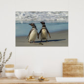 Paar van pinguïns op het strand poster (Keuken)