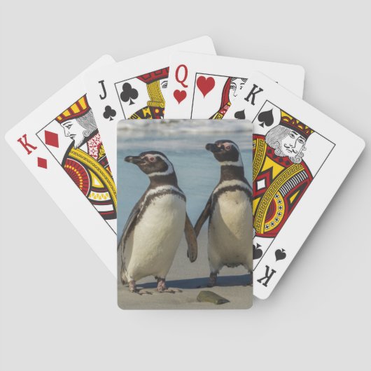 Paar van pinguïns op het strand speelkaarten (Achterkant)