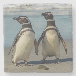 Paar van pinguïns op het strand stenen onderzetter