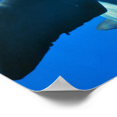 Paar van Poster van vreemde dolfijnen (Hoek)