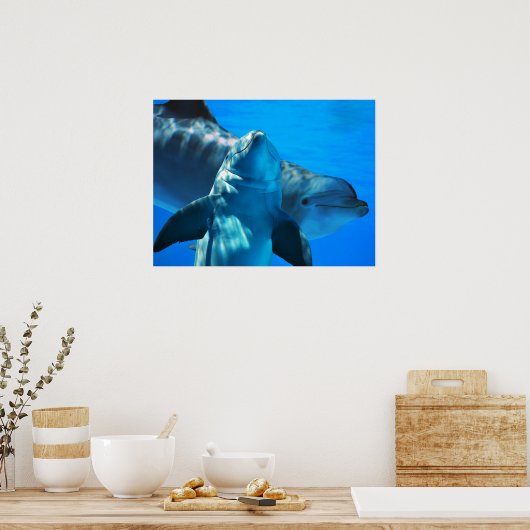 Paar van Poster van vreemde dolfijnen (Keuken)