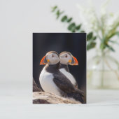 Paar van Puffins Briefkaart (Staand voorkant)