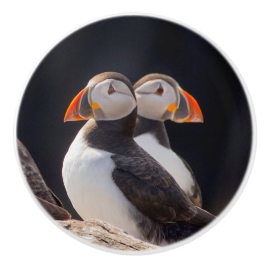 Paar van Puffins Keramische Knop (Voorkant)