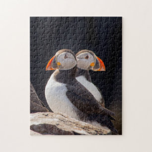 Paar van Puffins Legpuzzel