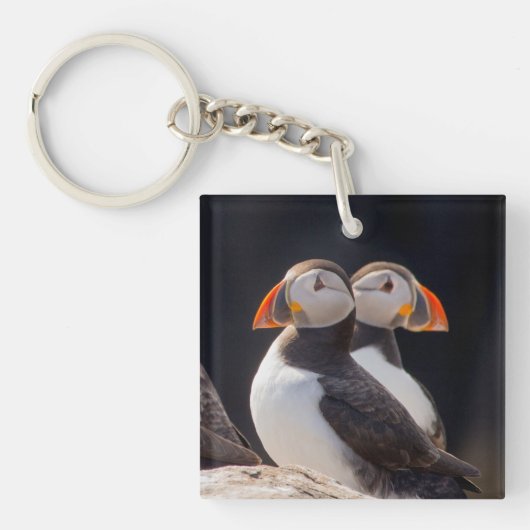 Paar van Puffins Sleutelhanger (Voorkant)