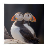 Paar van Puffins Tegeltje (Voorkant)