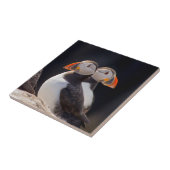 Paar van Puffins Tegeltje (Zijkant)