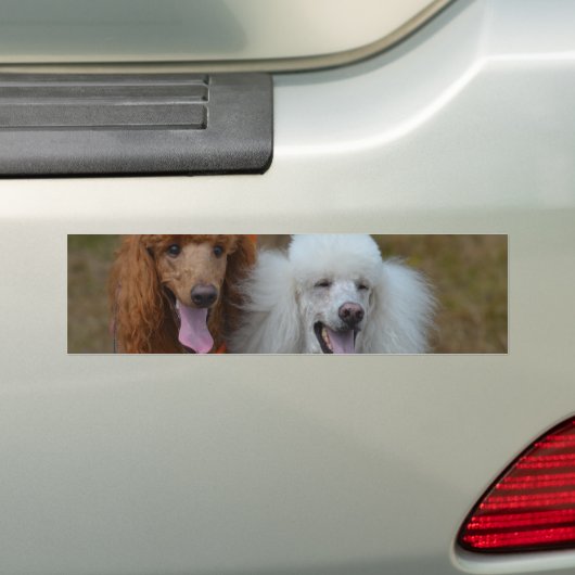 Paar van puin bumpersticker (Op auto)