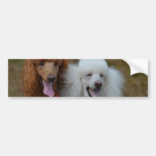 Paar van puin bumpersticker