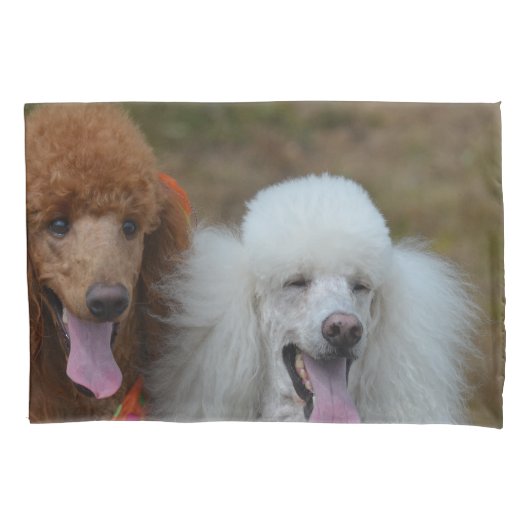 Paar van puin kussensloop (Voorkant)