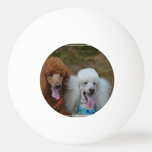 Paar van puin pingpongbal (Voorkant)