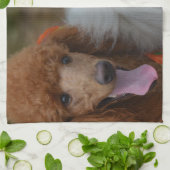 Paar van puin theedoek (Gevouwen)