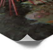 Paar van reuzenrood Zee Urchins Fine Art-Prints Poster (Hoek)