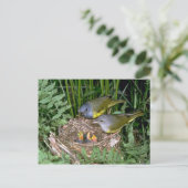 Paar van rouwWarblers met jonge Briefkaart (Staand voorkant)