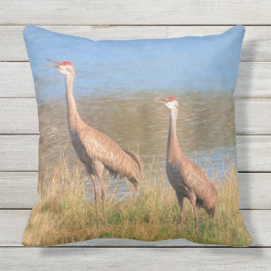 Paar van Sandhill Cranes Buitenkussen