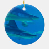 Paar van Sharks Ornament (Achterkant)