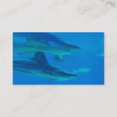 Paar van Visitekaartjes van haaien (Achterkant)
