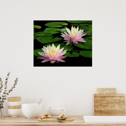 Paar van watergelilies poster (Keuken)