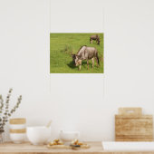 Paar van wilde dieren poster (Keuken)