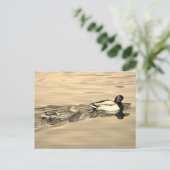 Paar van wilde eenden briefkaart (Staand voorkant)