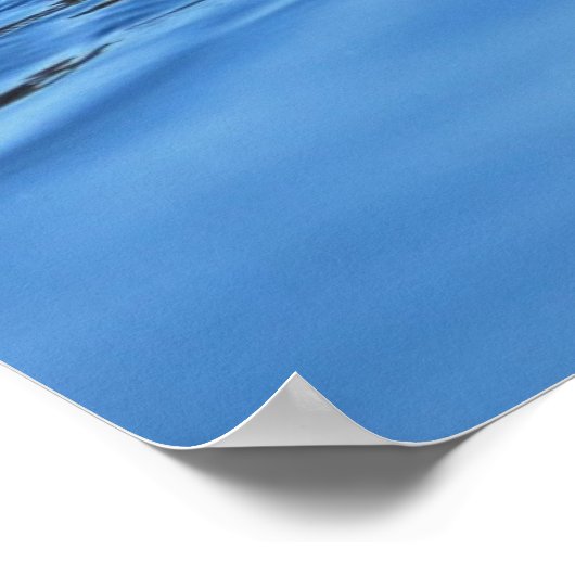 Paar van wilde eenden poster (Hoek)