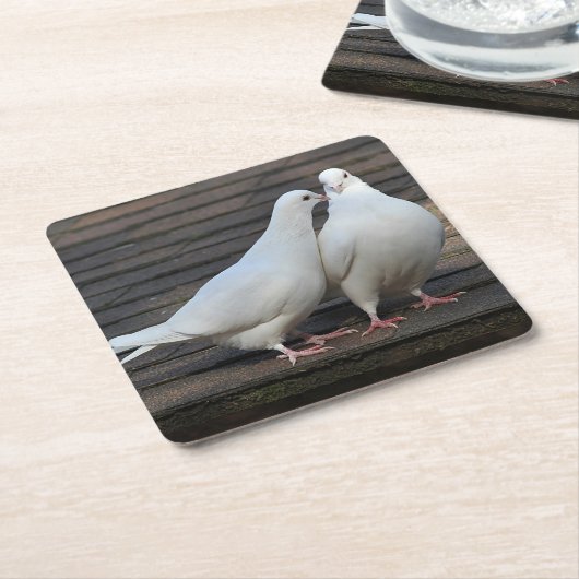 Paar van witte duiken kartonnen onderzetters (Schuin)