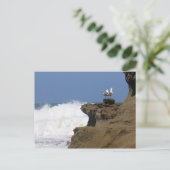 Paar van zeegarren briefkaart (Staand voorkant)