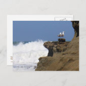 Paar van zeegarren briefkaart (Voorkant / Achterkant)