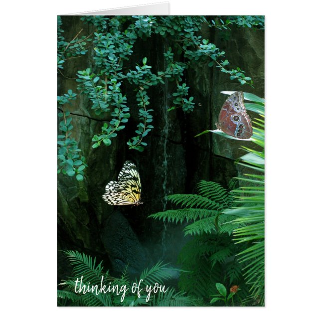 paar vlinders in de tropische tuin (Voorkant)