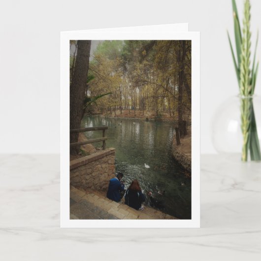 Paar voeden eenden in San Vicente Park Kaart (Voorkant)