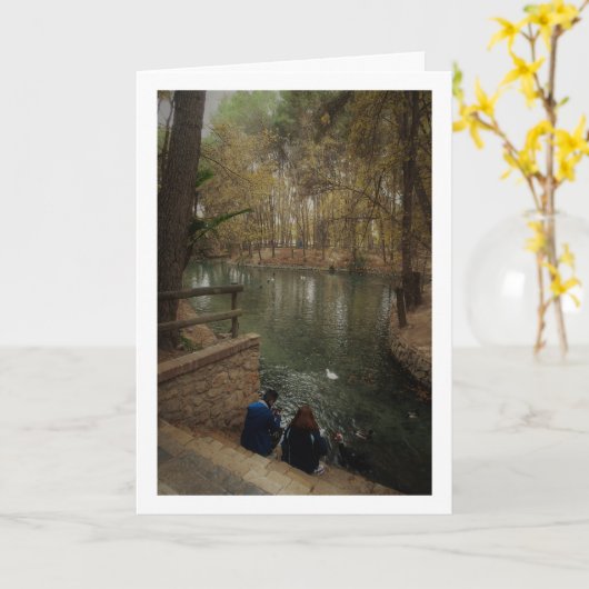 Paar voeden eenden in San Vicente Park Kaart (Gele Bloem)