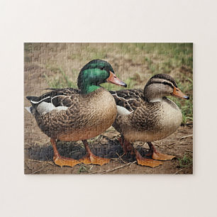 Paar Wilde Eenden Legpuzzel