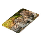 Paar Witte Tijgers Flexibele Magneet (Linkerzijde)